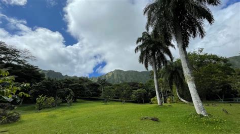 Ho'omaluhia Botanical Garden