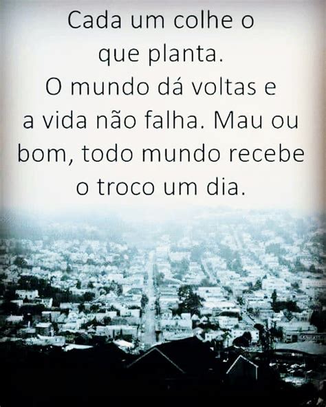 14 Frases De Reflexao Quem Planta Colhe Information Frasesdemotivacao