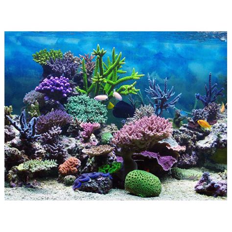 FAGINEY Fish Tank Poster, PVC Adhesive Underwater Coral Aquarium Fish ...