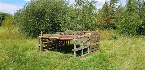 Tales From Swallow Farm A Luxurious New Sheep Shelter