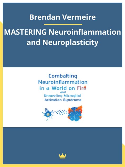 Brendan Vermeire MASTERING Neuroinflammation And Neuroplasticity