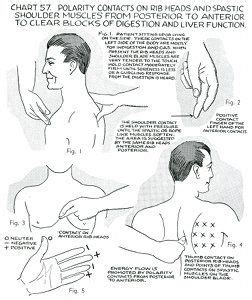 Polarity Therapy Volume Book Chart Polarity Therapy Massage