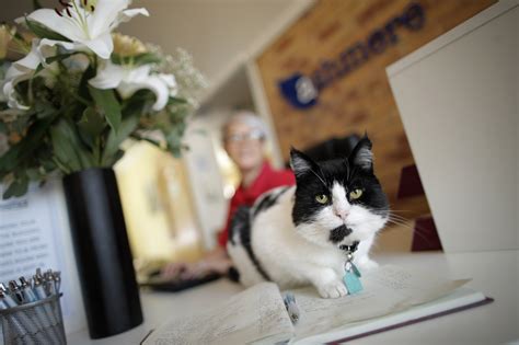 Sutton Court | Care Choices