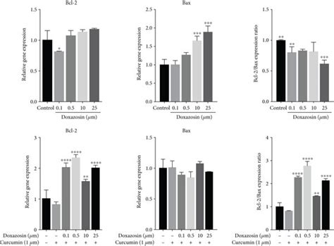 Rt Qpcr Analysis For Bcl 2 Mrna Expression Bax Mrna Expression And Download Scientific