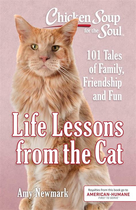 Chicken Soup For The Soul Cat