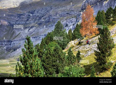 Hiking Trail In Spain Ordesa Valley In Spanish Pyrenees Senda De Los