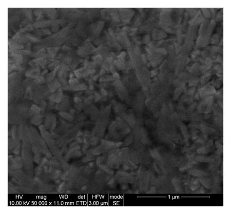 Scanning electron microscopy micrographs of the thin films grown using ...