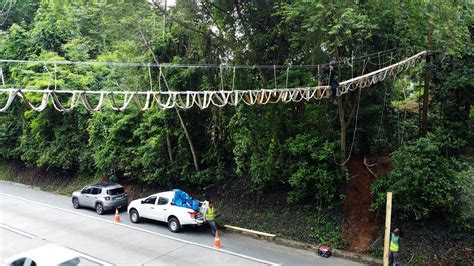 Pista na Serra de Petrópolis recebe três passarelas para animais