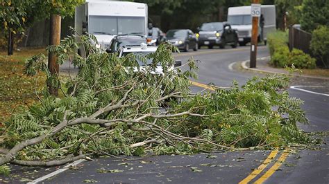 Strong Winds Down Tree Limbs Power Lines Wednesday Morning