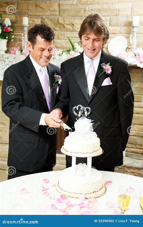 Gay Wedding Grooms Cut Cake Stock Photo Image Of Glasses Groom 25396902
