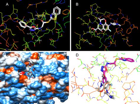 Binding Mode Of Ligand 2i And Levofloxacin With 1os1 A Docked