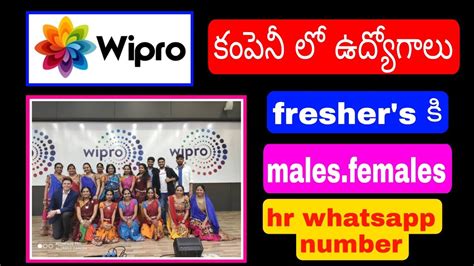 Wipro Company Non Voice Process Recruitment For Freshers Graduates