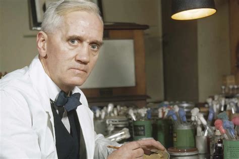 tracce prima prova maturita alexander fleming maturansia