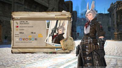 Adventurer Plate Final Fantasy XIV Online Wiki FFXIV FF14 Online