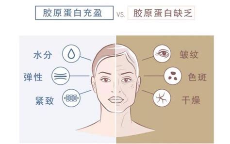 New Product｜S-Pro-Xylane, a superstar molecule that boosts collagen