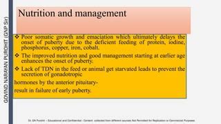 Andrology Lecture Puberty And Sex Maturity Pdf