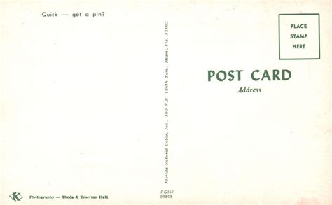 Vintage Postcard Florida Beauty Lady Bikini Show Off Model Sands And The Beach United States