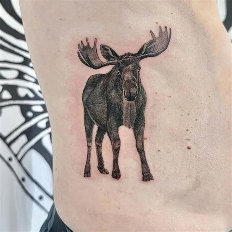 30 Best Moose Tattoo Ideas You Should Check