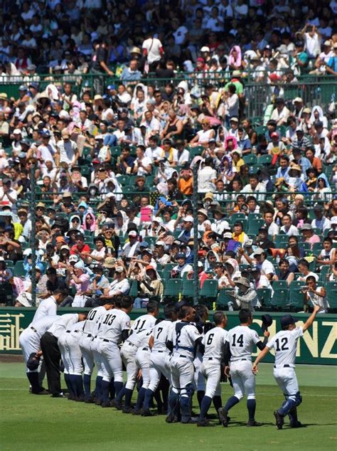 夏の高校野球：準々決勝第2試合 済美（愛媛）―報徳学園（東兵庫） 写真特集2525 毎日新聞