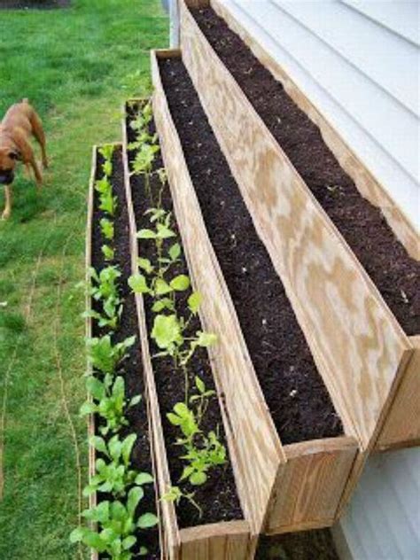 Красивые грядки для зелени. Подборка лучших 10 идей | Backyard garden ...
