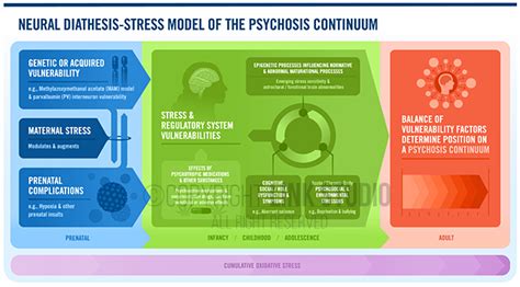 Neural Diathesis-Stress Model of the Psychosis Continuum - Link Studio