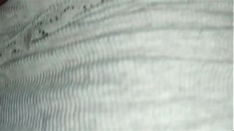 Cogiendo En La Playa Search XVIDEOS