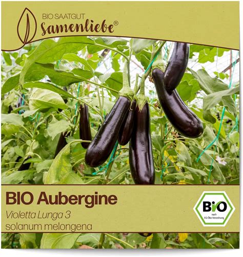 Samenliebe BIO Auberginen Samen Alte Sorte Violetta Lunga 3 Eierfrucht