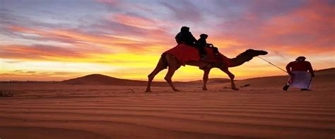 Camel Desert Safari - VooTours Tourism