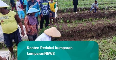 Ganjar Temui Petani Bawang Di Brebes Lagi Lagi Isu Pupuk Mencuat