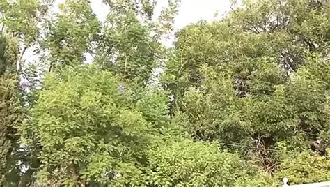 Vídeos porno de gratis de Monster Cocks Sex Channel xHamster