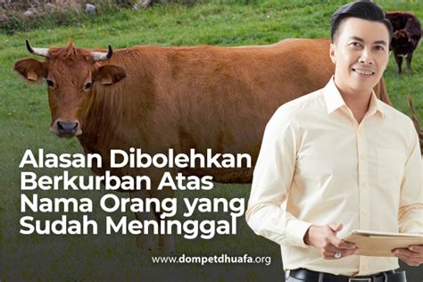 Hukum Kurban Untuk Orang Yang Sudah Meninggal Homecare24