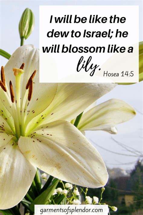 38 Encouraging Bible Verses About Flowers (with Free Printable)