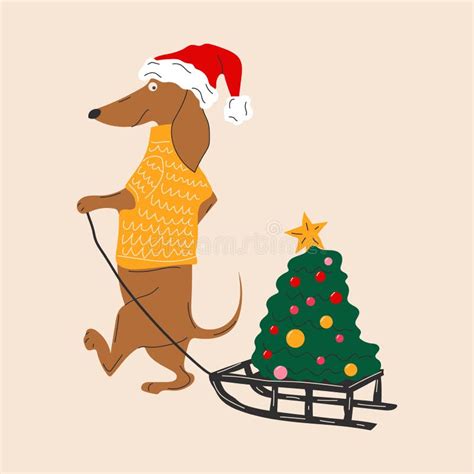 Dachshund Dog Pulls A Christmas Tree On A Sleigh Stock Vector