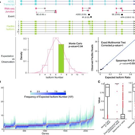 Validation Of Newly Identified Major Novel Isoforms A Major