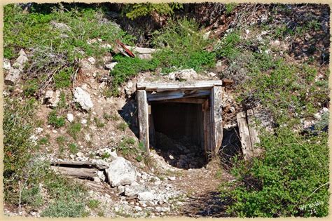 Down The Treacle Mine We Are South Devon