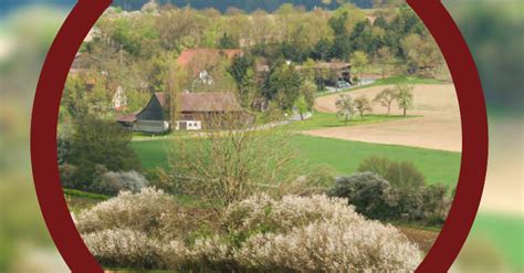 Ökosysteme entdecken Biodiversität Biologie am Gymnasium Fächer