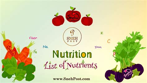 List of Nutrients: 7 Types and Whopping Food Sources