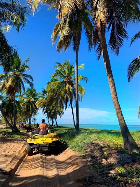 Praia Do Gunga Em Alagoas Dicas Para Aproveitar Melhor Seu Dia Artofit