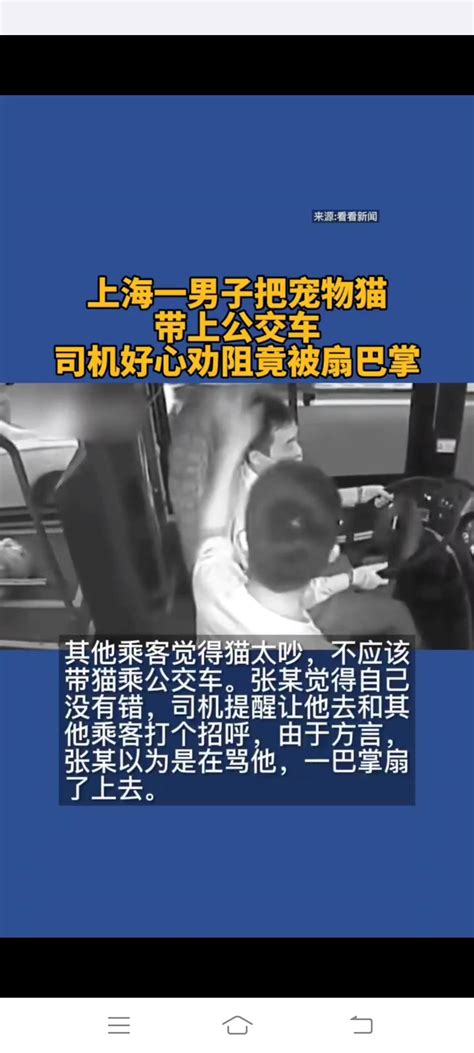 上海一男子把宠物猫带上公交车 搜狐大视野 搜狐新闻