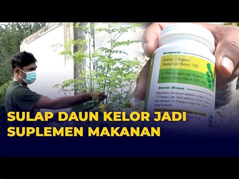 5 Manfaat Mengejutkan Daun Kelor Yang Wajib Kamu Intip