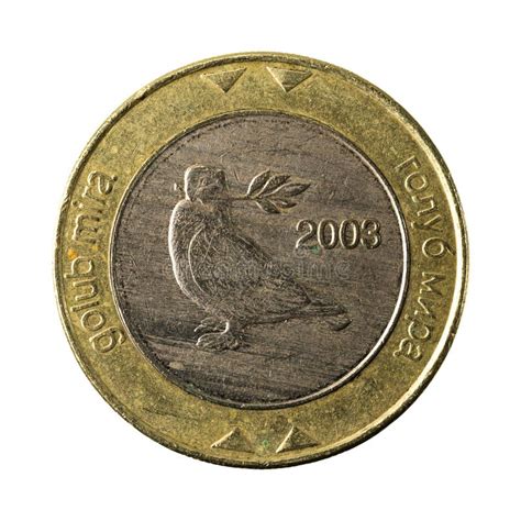 5 Anverso Convertible De La Moneda 2009 De La Marca De Bosnia Y