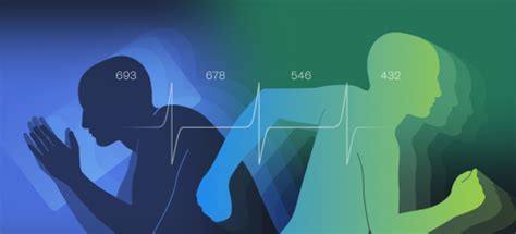 How to Improve HRV Score - Welltory