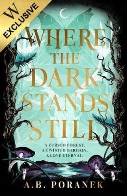 Where The Dark Stands Still By A B Poranek Waterstones