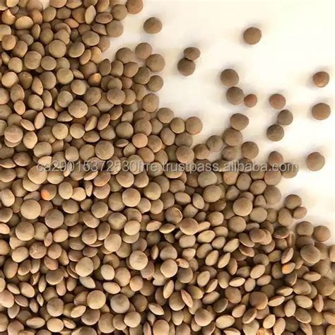 Wholesale Green Lentils Bulk Packaging 2550 Kg Pp Bag With 12 Months