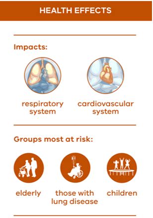 Impacts of Taal Volcano Phreatic Eruption (12 January 2020) on the Environment and Population ...