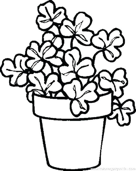 Sea Plants Coloring Pages at GetColorings.com | Free printable colorings pages to print and color