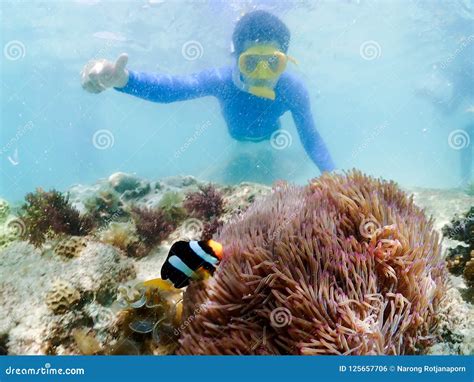 Snorkeling on Island in the Thailand Ocean. Stock Photo - Image of ...