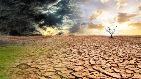 Qu Es La Contaminaci N Causas Y Consecuencias