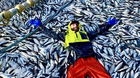 2021 Bait Herring Season Commercial Fishing Alaska Youtube