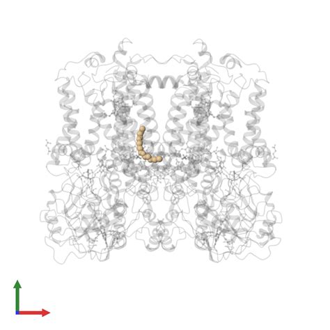 Pdb Zrt Gallery Protein Data Bank In Europe Pdbe Embl Ebi